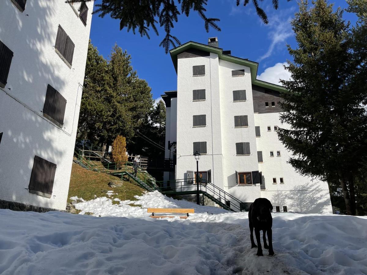 Izas - Pirineos360 - Practico Y Sencillo - Perfecto Para Esquiadores Формигал Экстерьер фото
